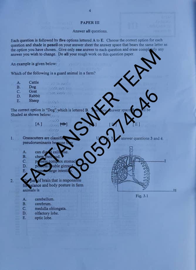 Verified Solutions for June/July NECO 2024 theory and Objectives Question PAPERS and Answers