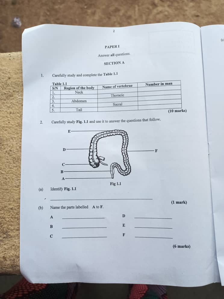 NECO 2024 Health Education Questions Papers (Practical, Theory & Objectives)