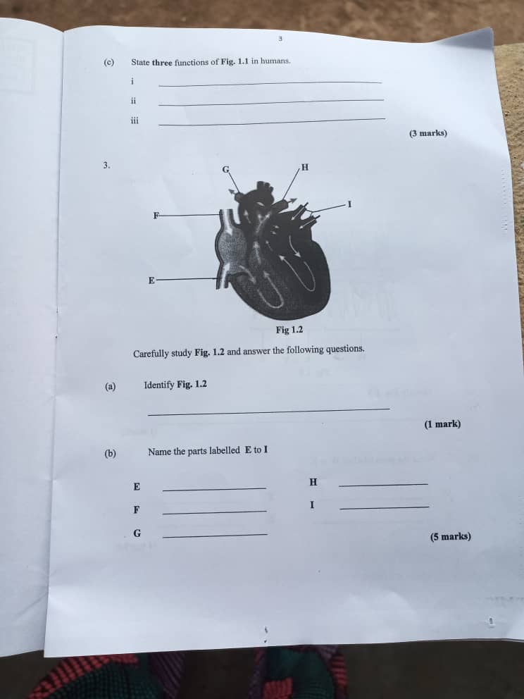 NECO 2024 Health Education Questions Papers (Practical, Theory & Objectives)