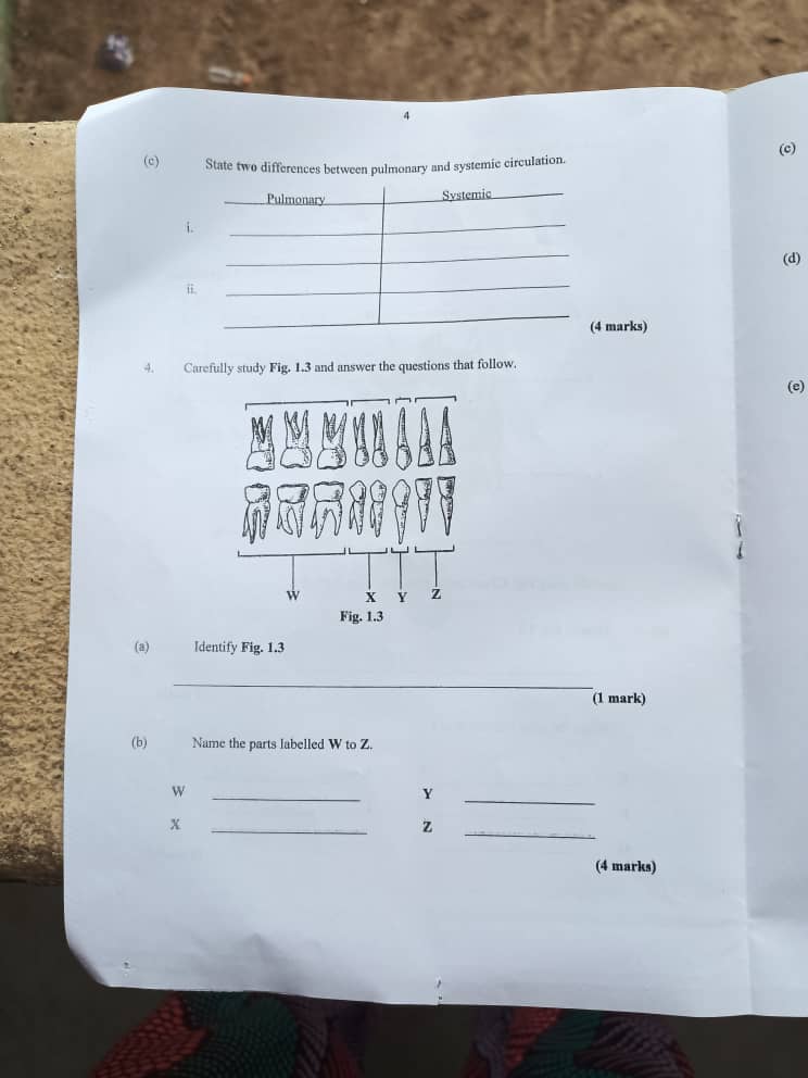 NECO 2024 Health Education Questions Papers (Practical, Theory & Objectives)